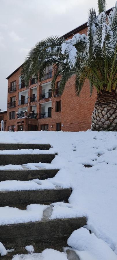 Arsaul Hotel New Athos Exterior photo